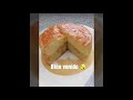 Pastel inteligente Ó "torta quesillo" sencillamente delicioso