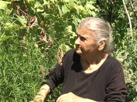 სოციალურად დაუცველი, მარტოხელა მოხუცი