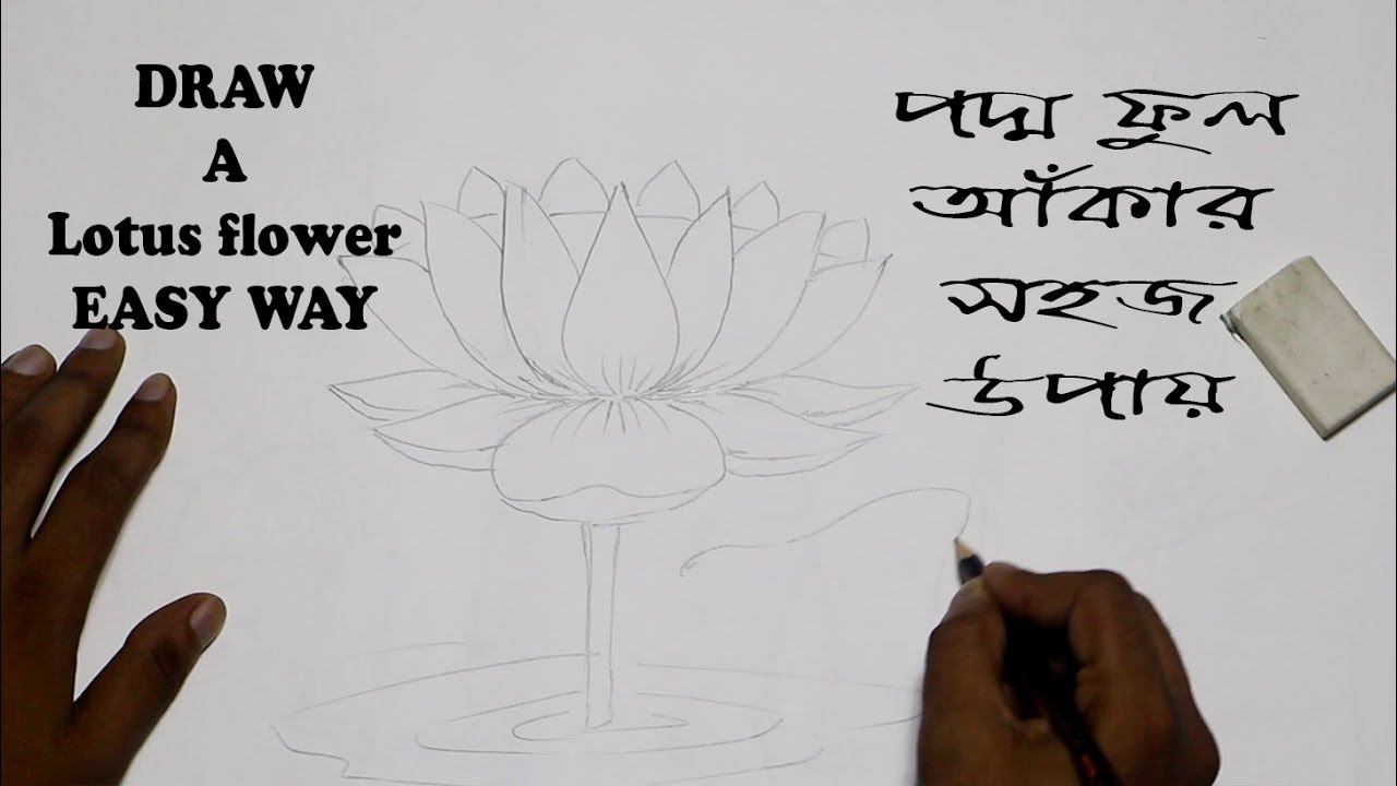 How To Draw A Lotus Flower Easy Way || ART LOVE & LIFE