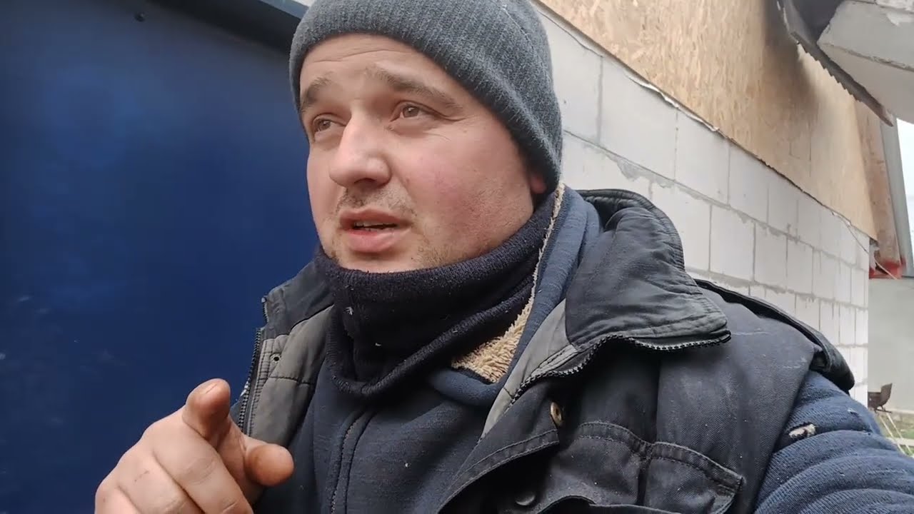 Собівартість яйця Ломан Браун на 15 день ‼️ Ціна Бройлера суточного ‼️ Молодка ‼️