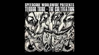 Low Entropy - Liquid Opera
- Bandcamp:
https://speedcoreworldwideaudionetlabel.bandcamp.com/album/terror-tribe-the-cultivation
- Archive:
https://archive.org/details/SWAN-305
- Mediafire:
https://tinyurl.com/27snvbbk
- Discogs:
https://www.discogs.com/de/release/35911261-Various-Terror-Tribe-The-Cultivation Low Entropy - Liquid Opera