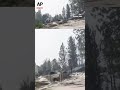 Wildfire damage leaves burned homes and debris across Spokane area