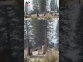 Wildfire damage leaves burned homes and debris across Spokane area