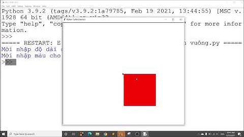 Python-SO: Vẽ hình vuông kích thước và màu sắc tùy ý với Turtle