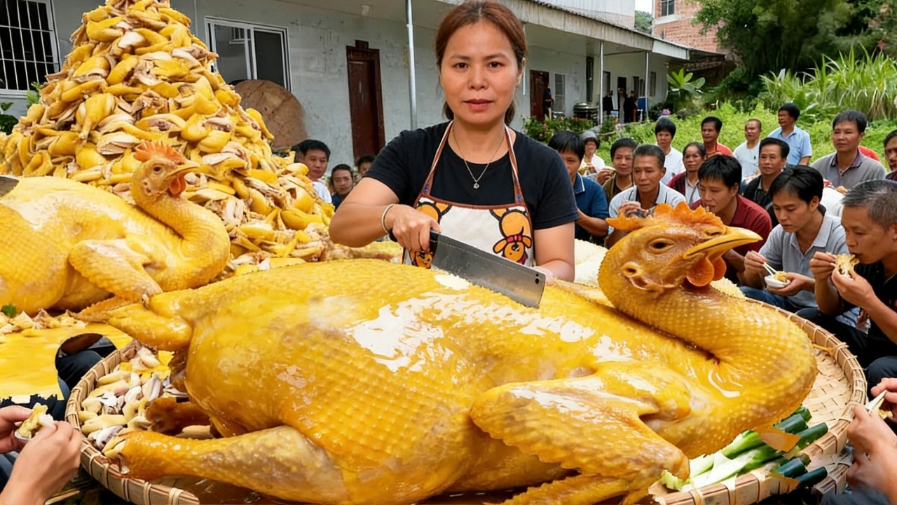 Gà cắt trắng Trầm Giang, Quảng Đông: 45đ/cân, luộc nước sạch không gia vị, cơm nấu nước gà cực ngon!
