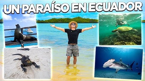 🐢 LA GUIA para VIAJAR a las ISLAS GALÁPAGOS 2022 🦎 Con todos los costos 💰💰💰!