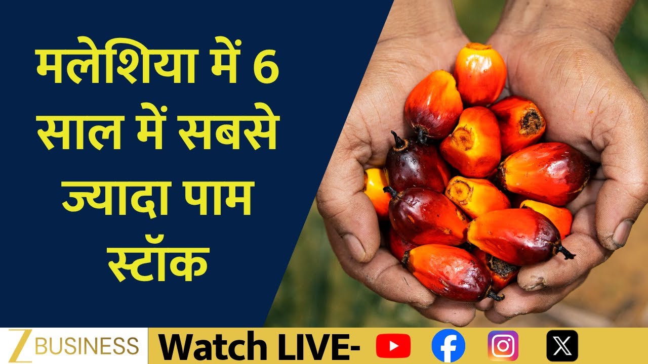 Malaysia’s Palm Oil Stocks at 6-Year High — So Why Are Prices Rising? | Commodity LIVE