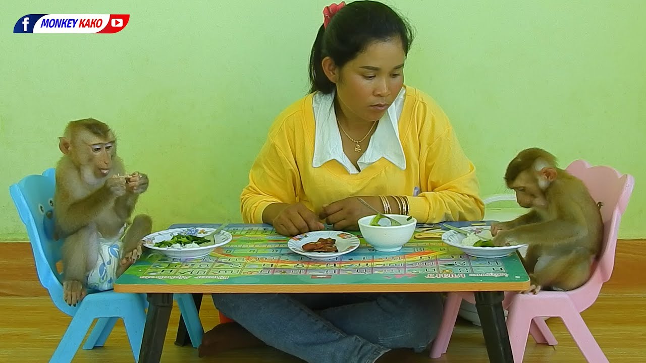 Awesome Baby Monkey KAKO And LUNA Eating Pork Soup With Vegetable
