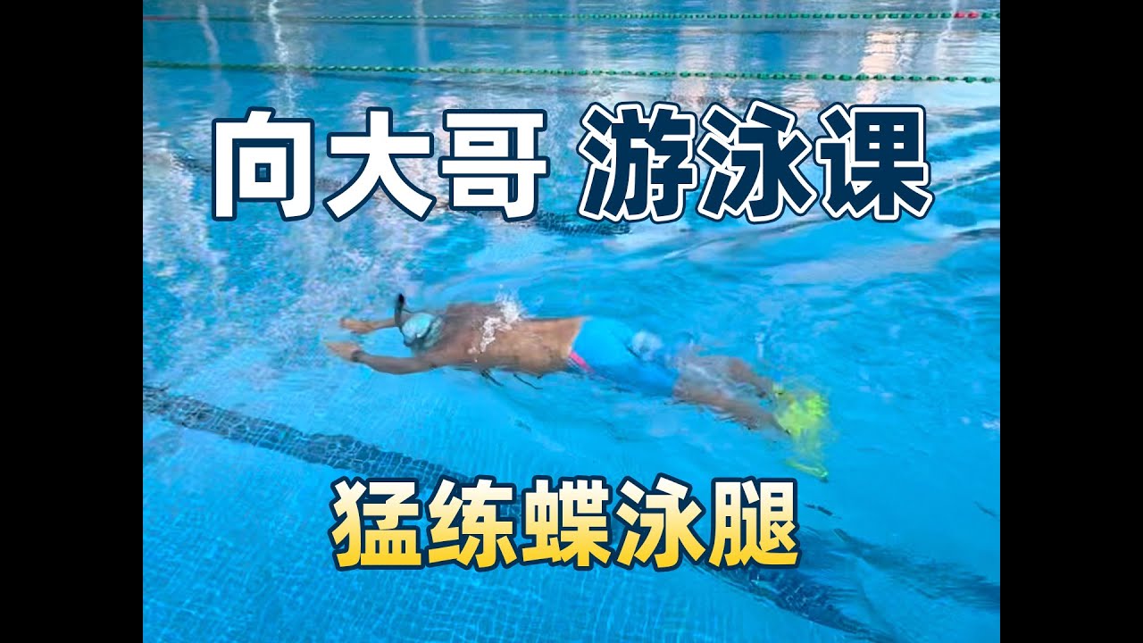 【游泳课】向大哥酣畅淋漓的蝶泳腿练习，腰腹动起来！