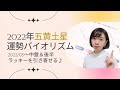 五黄土星さん2022年下半期運勢バイオリズム✨ラッキーを掴む3つのポイント