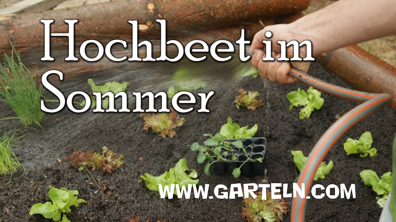 Hochbeet Bepflanzen F R Den Sommer Youtube Hochbeet Bepflanzen F R Den Sommer Youtube