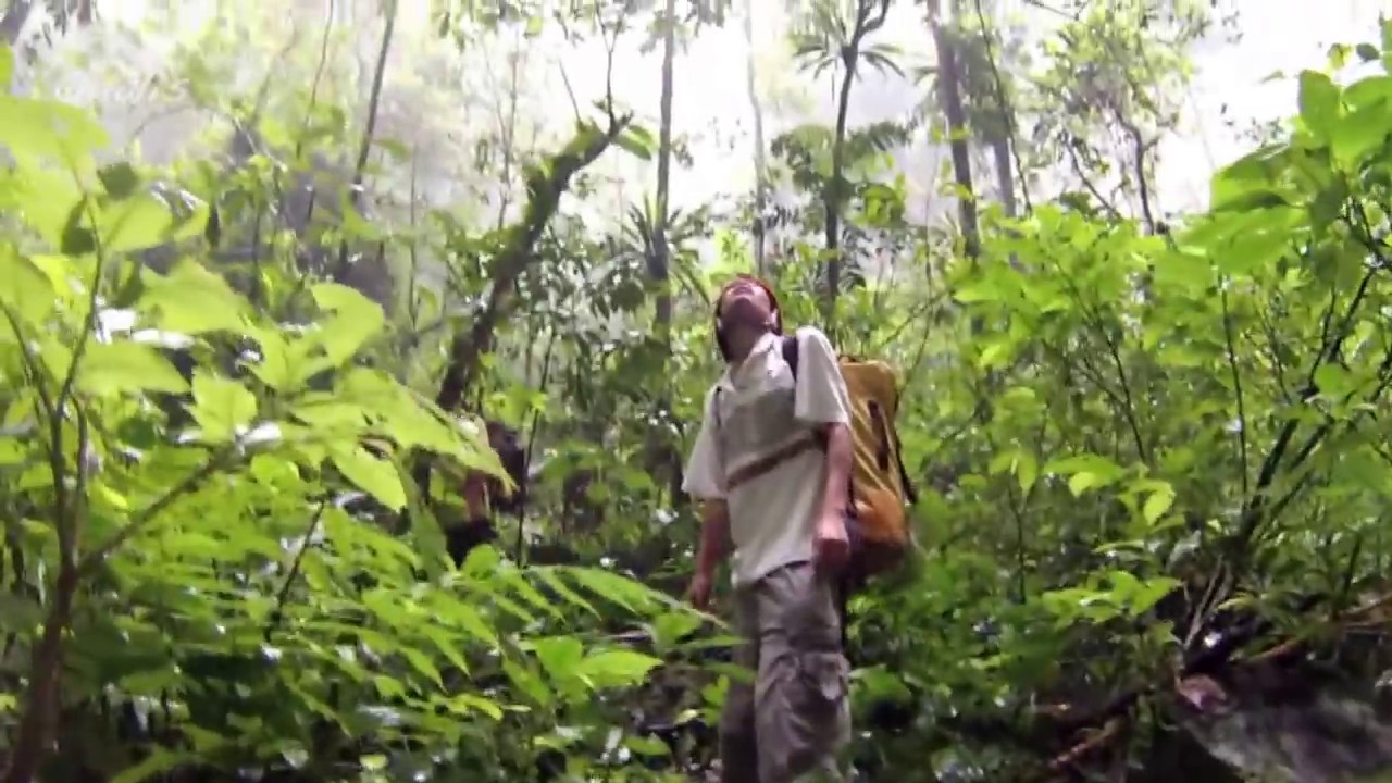 First Expeditions to Son Doong - The World's Largest Cave