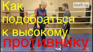 Boxing; how to attack the taller opponent