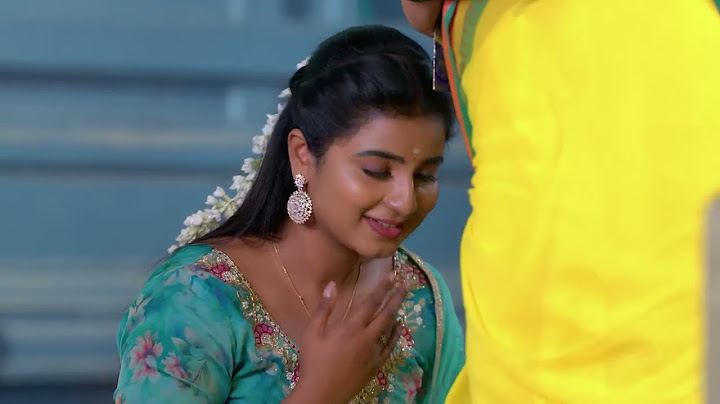 Karthigai Deepam - Full Ep - 746 - Karthikeyan, Deepa, Abirami - Zee Tamil
