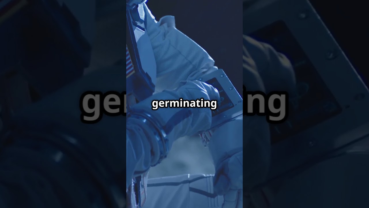 Is There Vegetation on the Moon? 