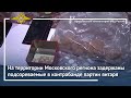 Ирина Волк: На территории Московского региона задержаны подозреваемые в контрабанде партии янтаря