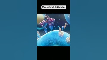 in this video we can see how monoclonal antibodies work