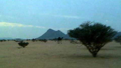 دحيم الحماد من اذكار المساء 16 12 1431