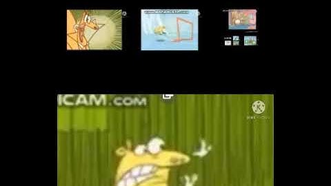 up to faster 24 Parison to Rudolf