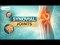 Synovial Joints | Learnpharma #kneejoint  #physiotherapy  #Orthopedics