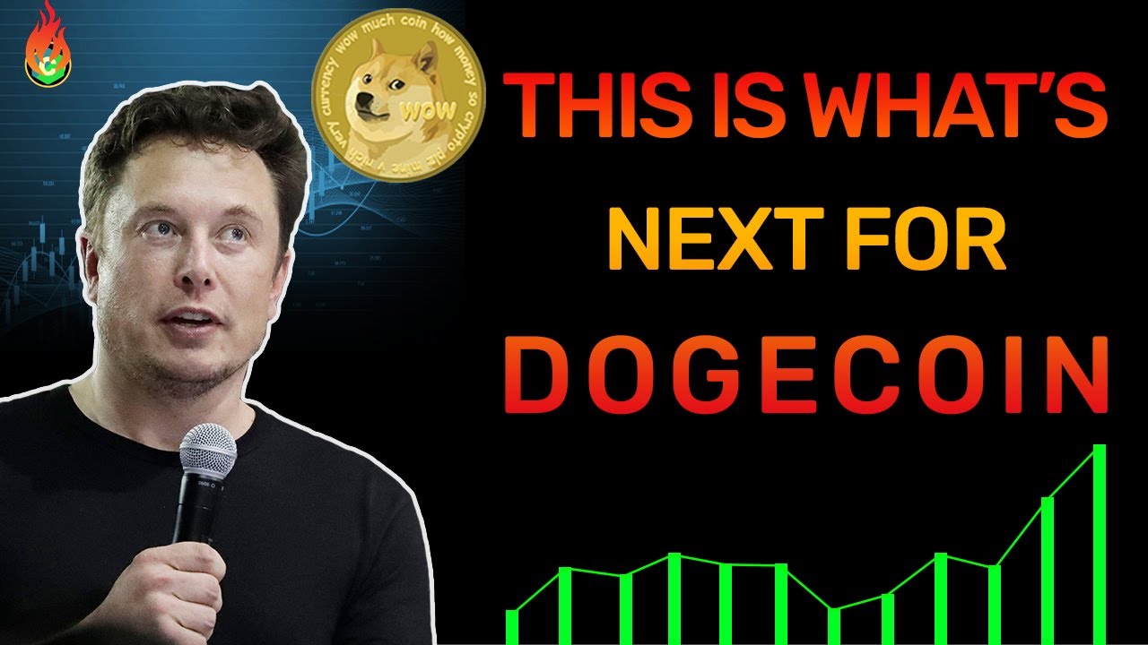ALL DOGECOIN HOLDERS NEED TO WATCH THIS! (PRICE PREDICTION!) DOGECOIN