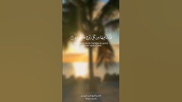 - خلق السماوات بغير عمدٍ ترونها -القارئ الشيخ ياسر الدوسري