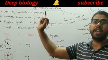 Extra nuclear inheritance| Maternal inheritance | Paternal inheritance | life science| Deep biology