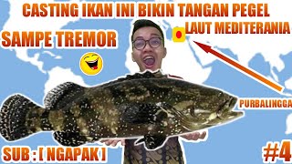 IKAN RAKSASA DILAUT PERBATASAN EROPA & AFRIKA CASTING TERLAMA MANCING MANIA game kail pancing ngapak screenshot 3