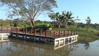 Xishuangbanna Tropical Botanical Garden, CAS - Part 1