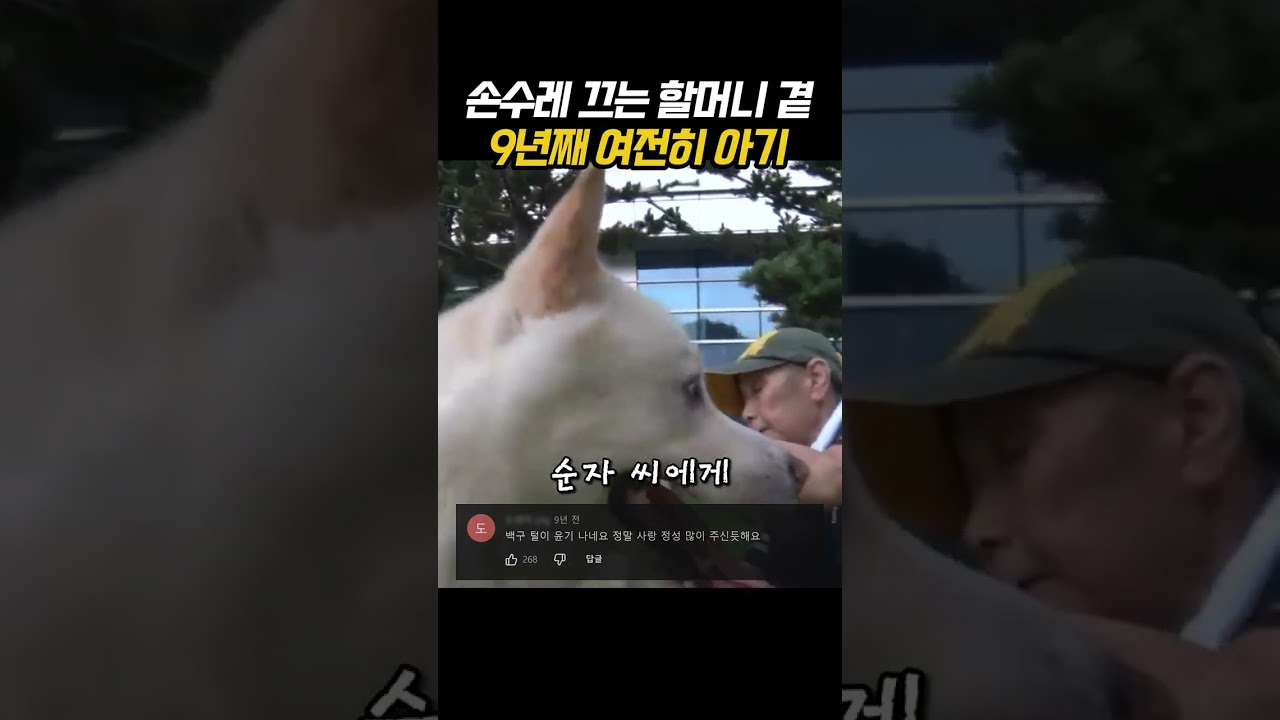 손수레 끄는 할머니 곁 9년째 여전히 아기