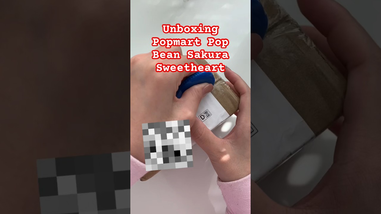 Popmart Pop Bean 🥰🥰 