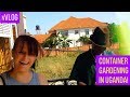 Container Gardening in Uganda + Kampala Sunrise and Sunset #vlog #expat #africa #life