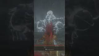 Elden ring Royal knight fight. #soulslike #eldenring #fromsoftware #darksouls #eldenringgameplay