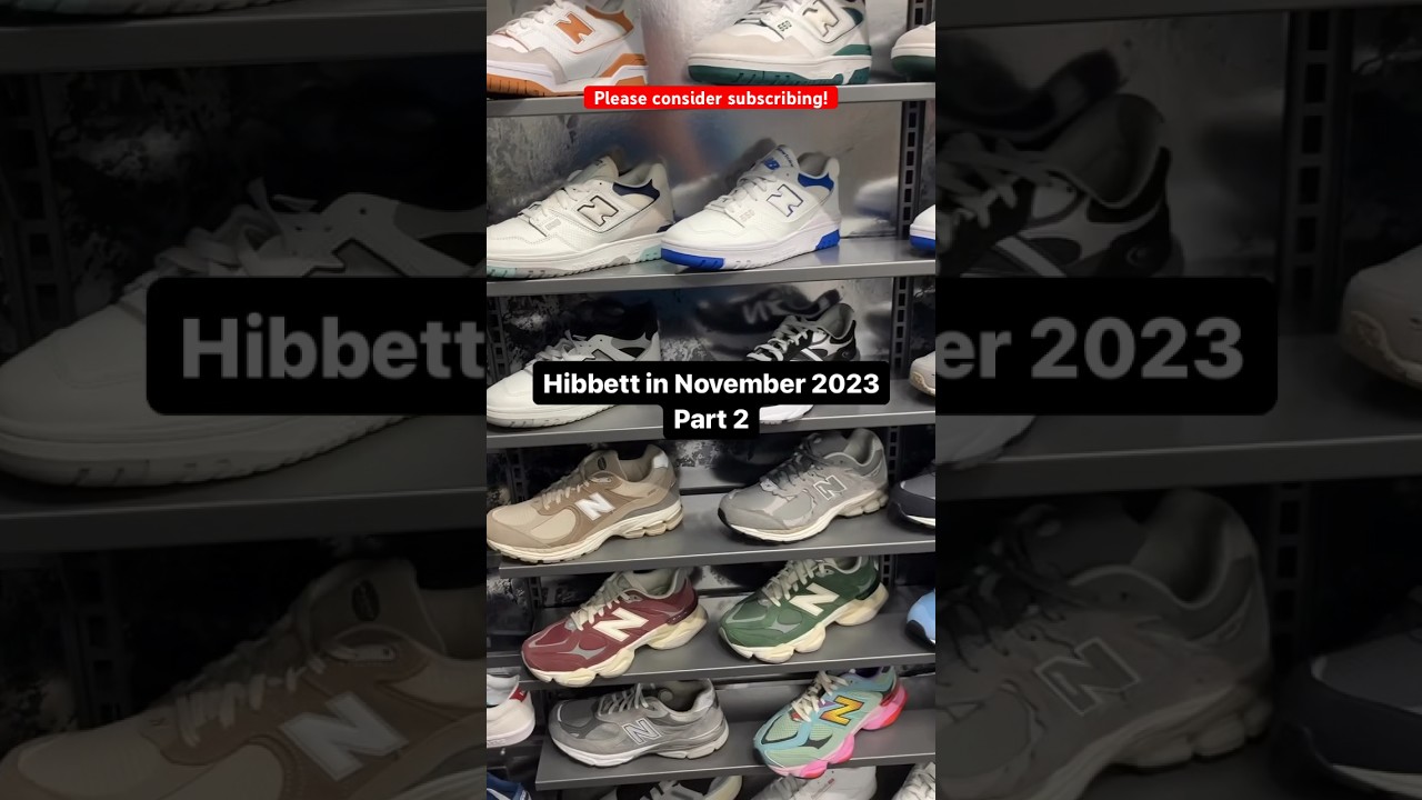 Hibbett in November 2023 Part 2!!! 