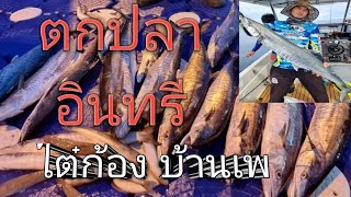 ตกปลาอินทรี ไต๋ก้องบ้านเพ