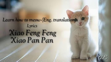 Learn how to meow(English version) Lyrics by Xiao Feng Feng and Xiao Pan Pan