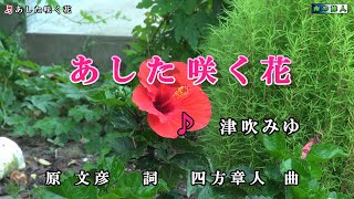 あした咲く花 歌詞 津吹みゆ ふりがな付 うたてん あした咲く花 歌詞 津吹みゆ ふりがな付 うたてん