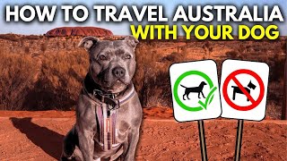 The Realities of TRAVELLING AUSTRALIA with a DOG: Tips and Tricks
