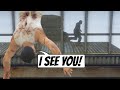 Skylights from GOOD to BAD to WTF? | window logic GTA V