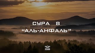 Сура 8: Аль-Анфаль смысловой перевод на русском, красивое чтение