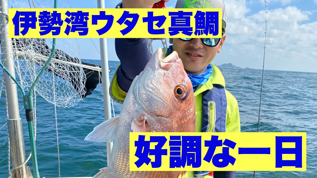 伊勢湾ウタセ真鯛 絶好調！！ - YouTube