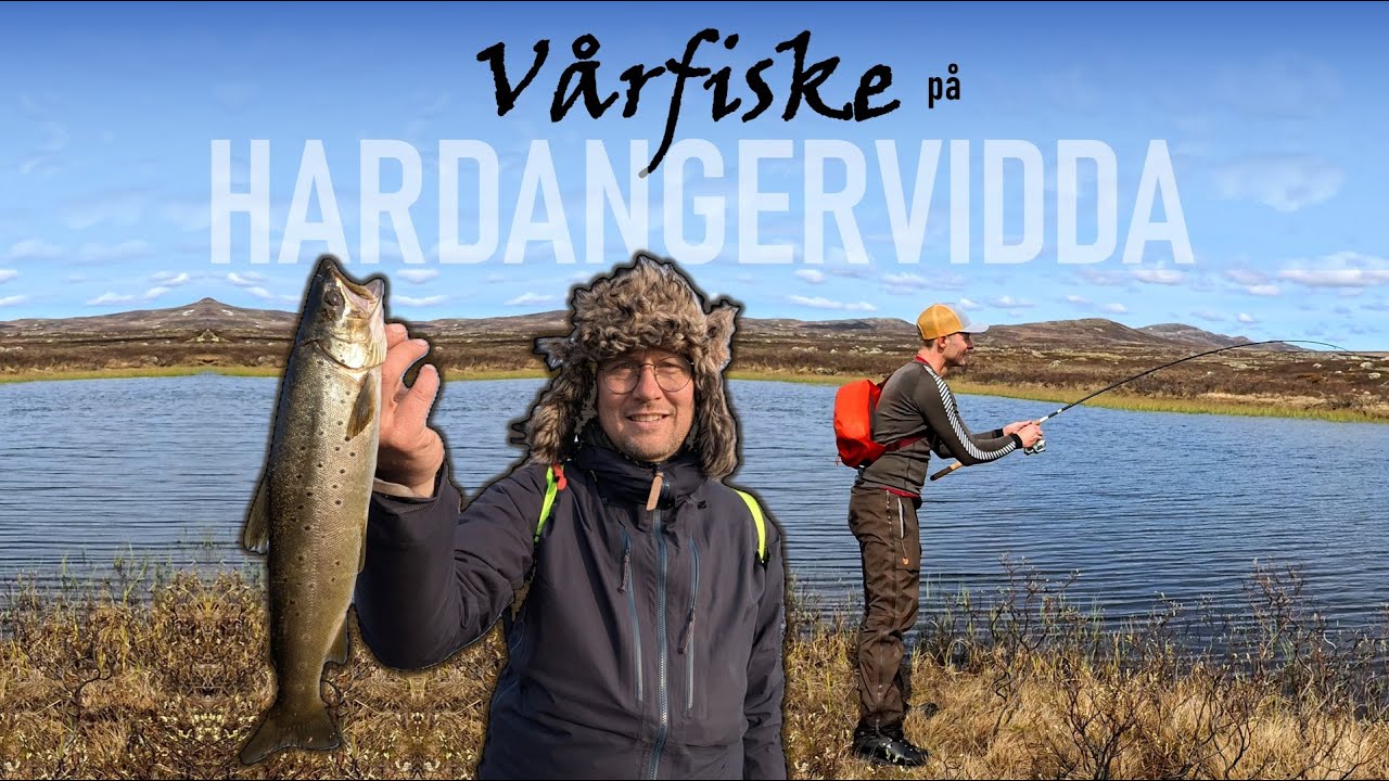 Vårfiske på Hardangervidda