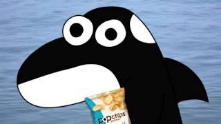 Asmr Orca Eats Popchips