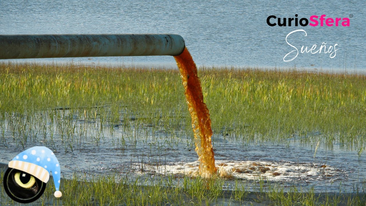 Qué significa Soñar con agua sucia 🚱 YouTube Qué significa Soñar con agua sucia 🚱 YouTube