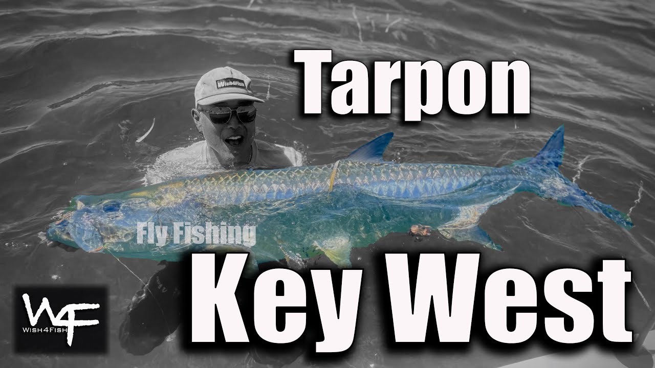 W4F Fly Fishing Key West Tarpon YouTube