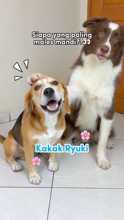 BROTHERS AND SISTERS SHOWING AT EACH OTHER‼️ RYUKI RAIDEN IS SO MESSY🤣