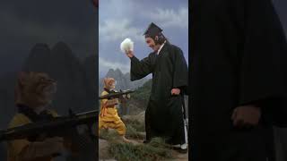 Kung Fu Cat vs Kung Fu Master!Who would win?