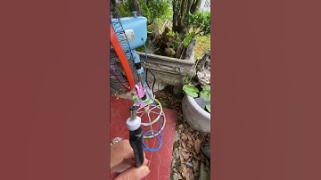 Thằng Bờm có cái quạt mo