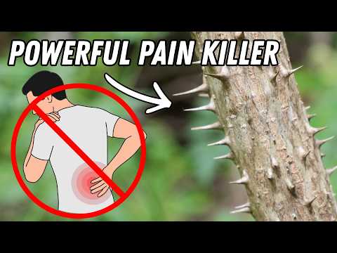 Old Cherokee Remedy for Arthritis(Actually Works!)
