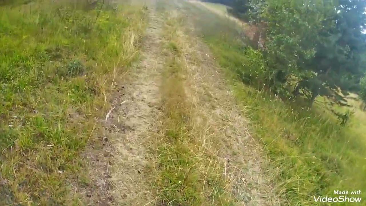 LOV NA SITNU DIVLJAC   😀😀🦮🦮